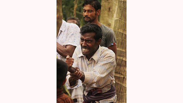 সাপুড়ের কৌশল। ছবি: তৌহিদী হাসান