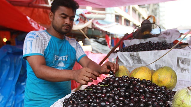 বাজারে এসেছে রসালো জাম। থাকবে ৫ থেকে ৬ দিন। ছবিটি আজ কারওয়ানবাজার থেকে তোলা। ছবি: জাহিদুল করিম