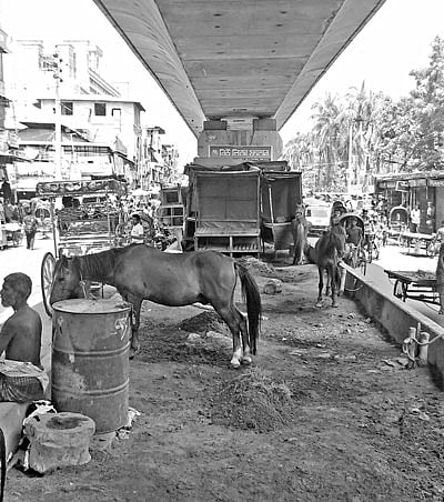 মেয়র হানিফ ফ্লাইওভারের নিচে গড়ে উঠেছে আস্তাবল l ছবি: প্রথম আলো
