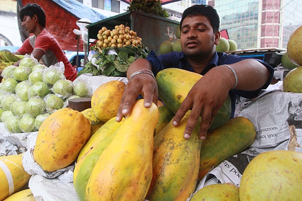 পেঁপের পুষ্টি উপাদান শুধু শরীরের চাহিদাই মেটায় না, রোগ প্রতিরোধও করে। ছবি: জাহিদুল করিম