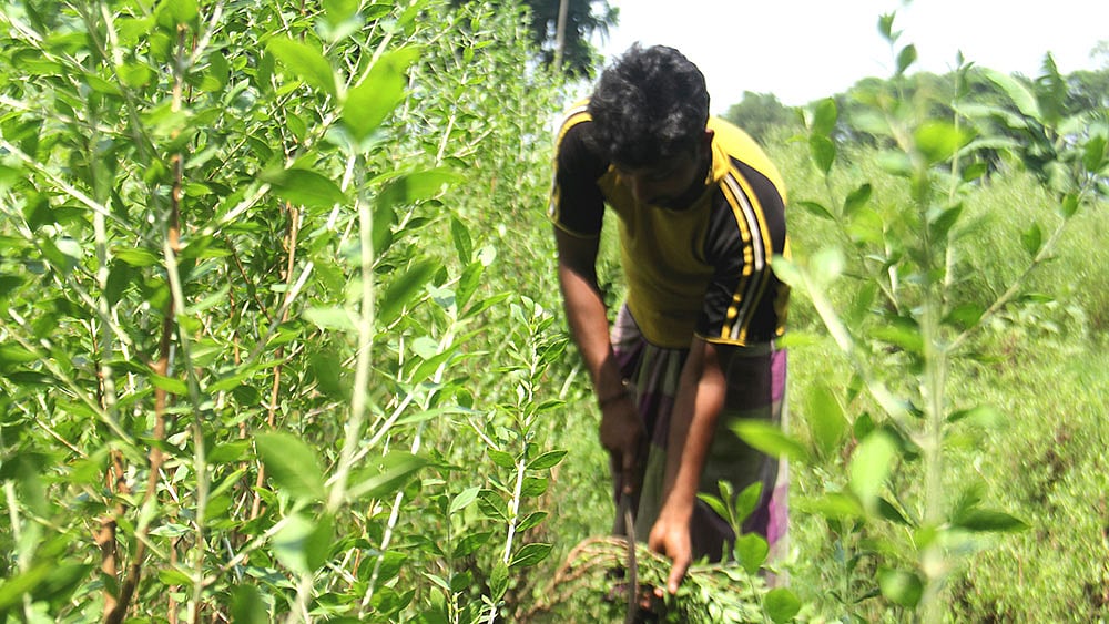 ব্যবসায়ী মোখলেছ কাজে ব্যস্ত। ছবি: সাবিনা ইয়াসমিন