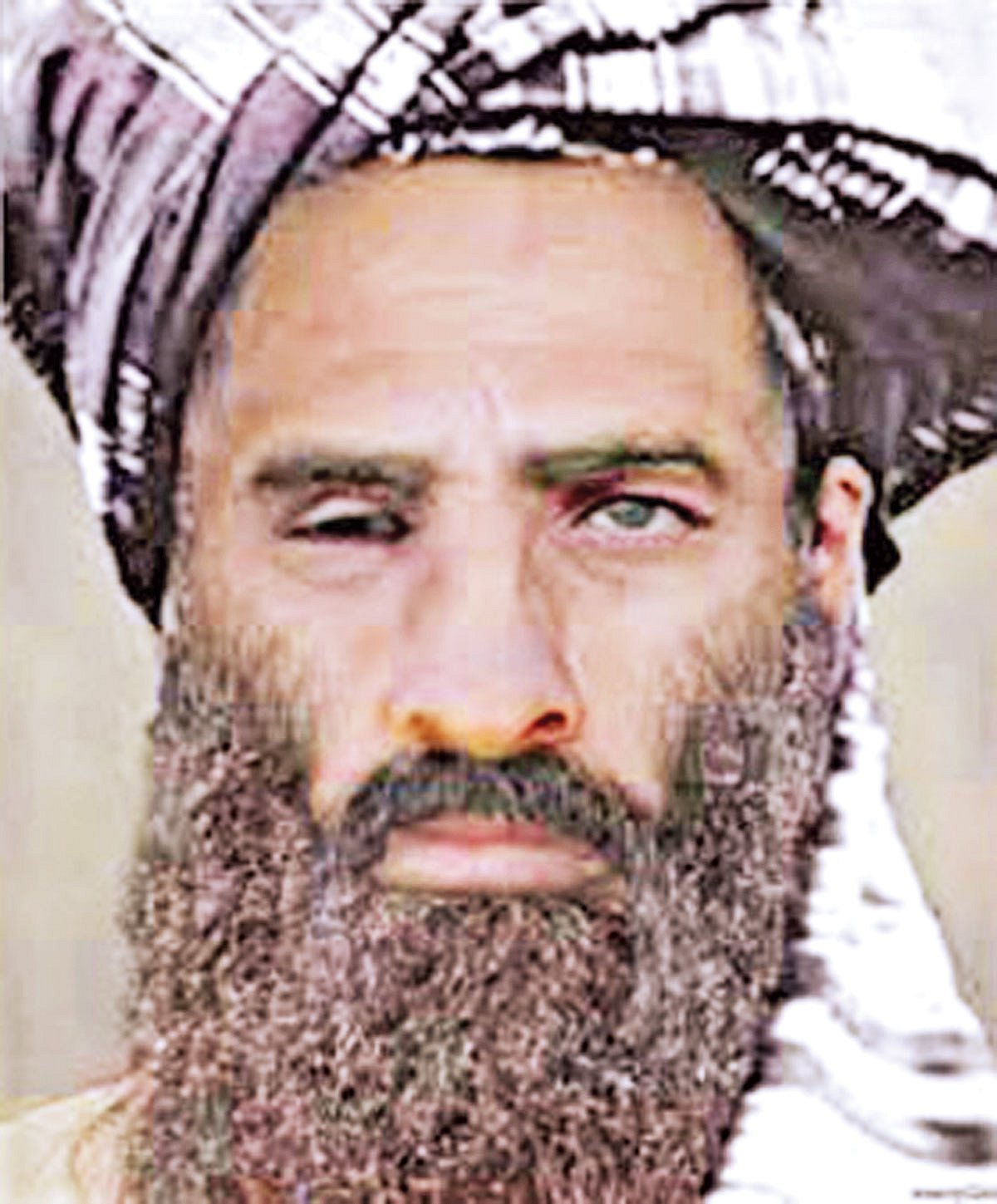 মোল্লা ওমর