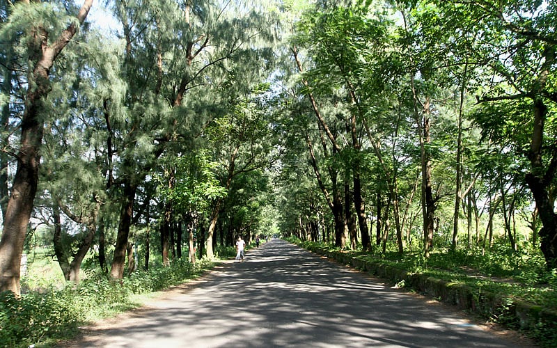 চট্টগ্রাম শহর থেকে ২২ কিলোমিটার দূরে পতেঙ্গা সমুদ্র সৈকত। ভ্রমণপিয়াসীদের কাছে এই সৈকত বেশ আকর্ষণীয়। সূর্যাস্ত উপভোগ করতে প্রতিদিনই ভিড় জমে যায় সৈকতজুড়ে। জেলেদের মাছ ধরা, পাখির কলরব, শামুক-ঝিনুক, মণি-মুক্তার মালা কেনাবেচা—নানা সব আয়োজন থাকে পুরো এলাকায়। সৈকতের পাশেই সারি সারি গাছের ছায়াঘেরা পথ। ছবি: সৌরভ দাশ, চট্টগ্রাম