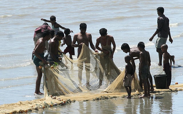 জালের মাছ সংগ্রহে ব্যস্ত জেলেরা। ছবি: সৌরভ দাশ, চট্টগ্রাম