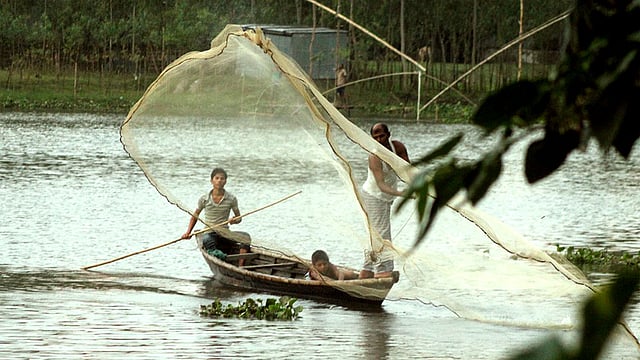 রংপুরের কাউনিয়া উপজেলার দালালহাট এলাকার মরাতিস্তা নদীতে চলছে মাছ ধরা। ছবি: মঈনুল ইসলাম, রংপুর