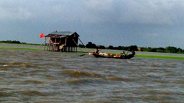 বর্ষা মৌসুম ও জোয়ারে পানি বেড়ে যাওয়ায় বাঁশের খুঁটি দিয়ে ঘর উঁচু করে নিয়েছে এক পরিবার। ছবি: নেয়ামতউল্যাহ, ভোলা