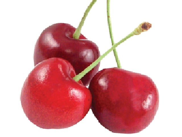 চেরি