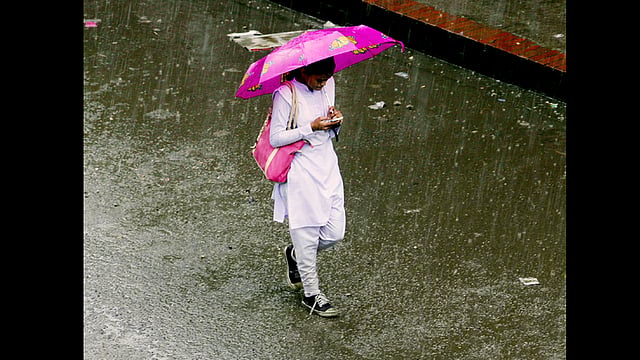 রিমঝিম বৃষ্টিতে ফাঁকা রাস্তায় এক ছাত্রীর আয়েশী গমন। ছবিটি বুধবার রাজধানীর তোপখানা সড়ক থেকে তোলা। ছবি: ফোকাস বাংলা