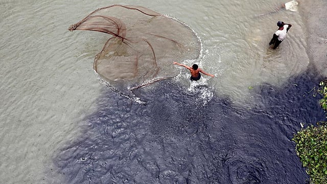 কোন রকম পরিশোধন ছাড়াই অনেক কল-কারখানার বর্জ্য, কেমিক্যালযুক্ত পানি সারাসরি ফেলা হচ্ছে নদীতে। এতে শীতলক্ষ্যার নতুন পানিও দূষিত হচ্ছে। এর মধ্যেই চলছে মাছ ধরা। ছবিটি আজ বৃহস্পতিবার কাঁচপুর সেতুর নিচ থেকে তোলা। ছবি: হাসান রাজা