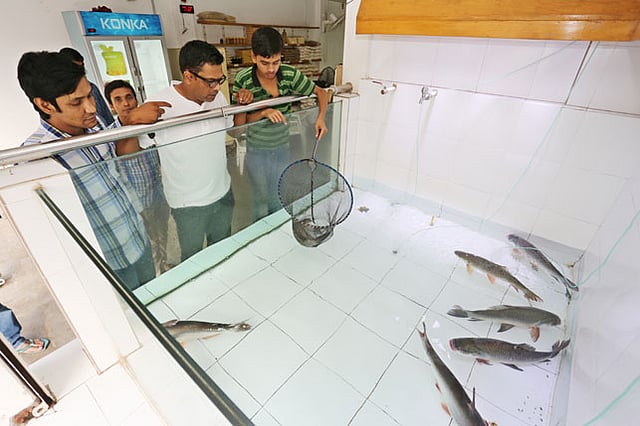 মাছের ব্যবসায়ে পূর্ণ মনোযোগ হাসিবুলের। ছবি: জাহিদুল করিম