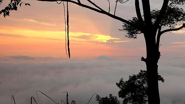 দিনের বেলা ঘন সবুজ প্রকৃতি। আর রাতেই তা ঢেকে যায় মেঘের চাদরে। ভোরের আলো ফোটার সঙ্গে সঙ্গে পালাতে শুরু করে মেঘের দল।  ছবি: সুপ্রিয় চাকমা, রাঙামাটি