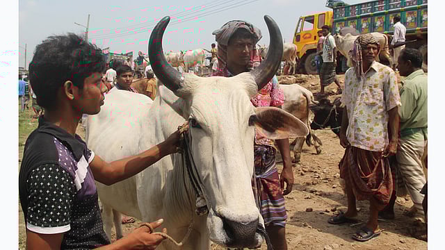 ছবি: শহীদুল ইসলাম, রাজশাহী
