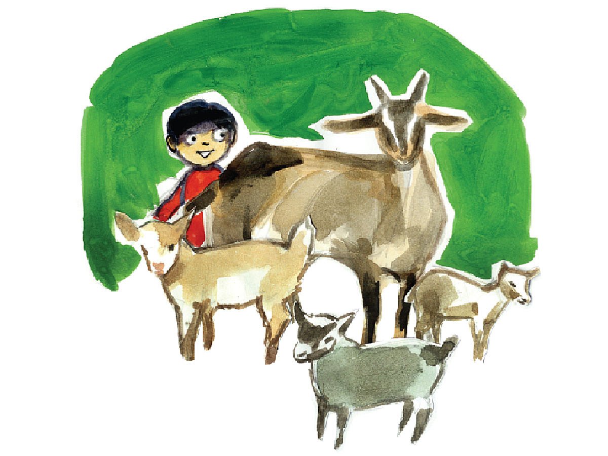 অলংকরণ: মাসুক হেলাল