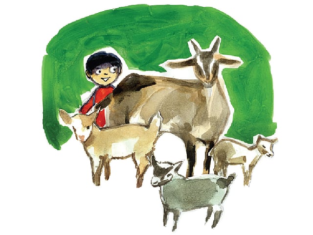 অলংকরণ: মাসুক হেলাল