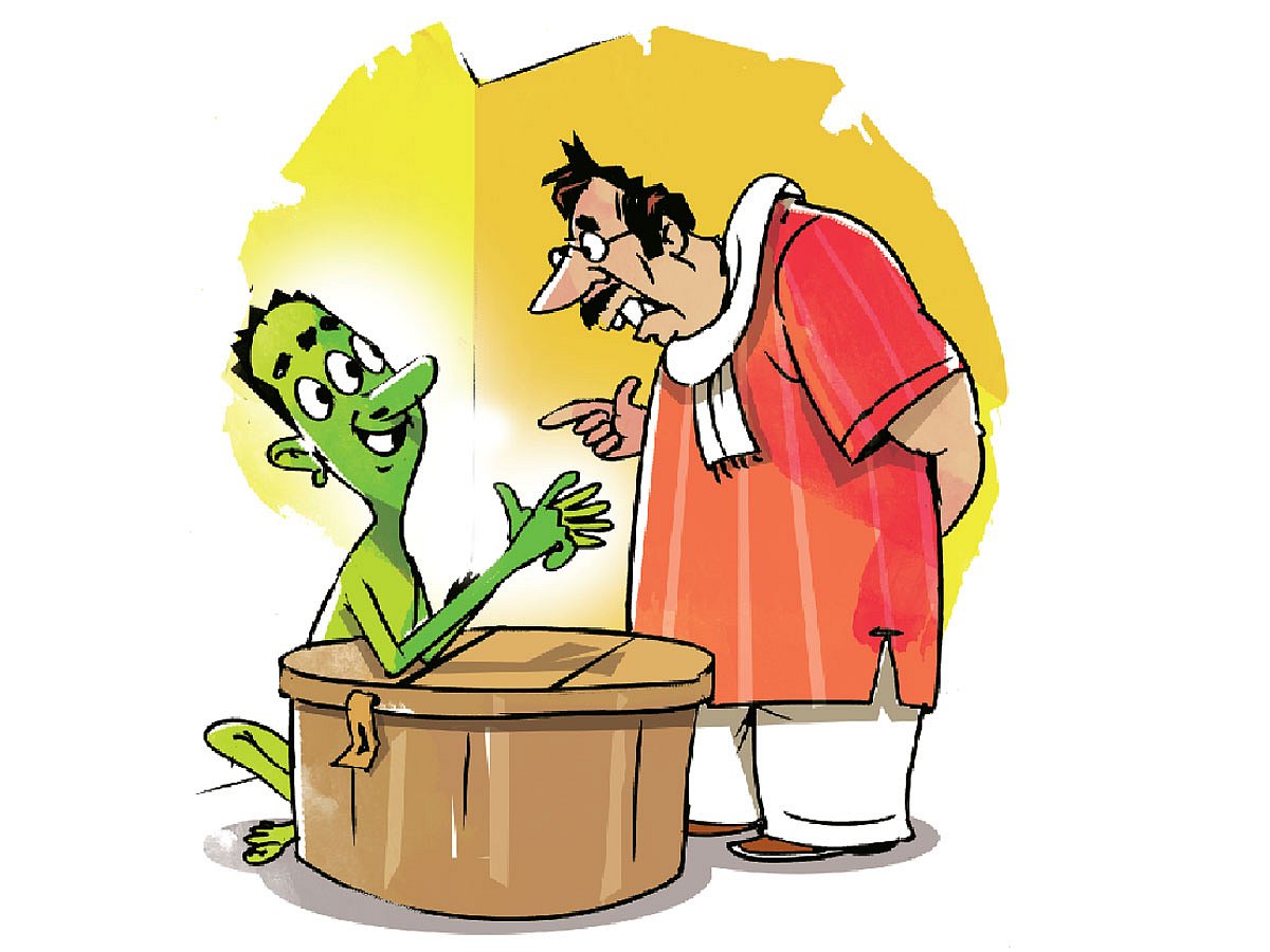 অলংকরণ: তুলি