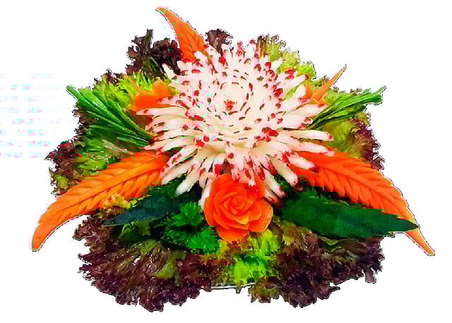 মুলার ডালিয়া ফুল