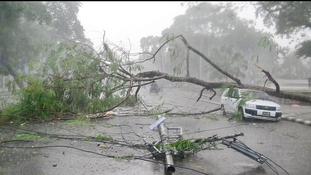 ফাইল ছবি