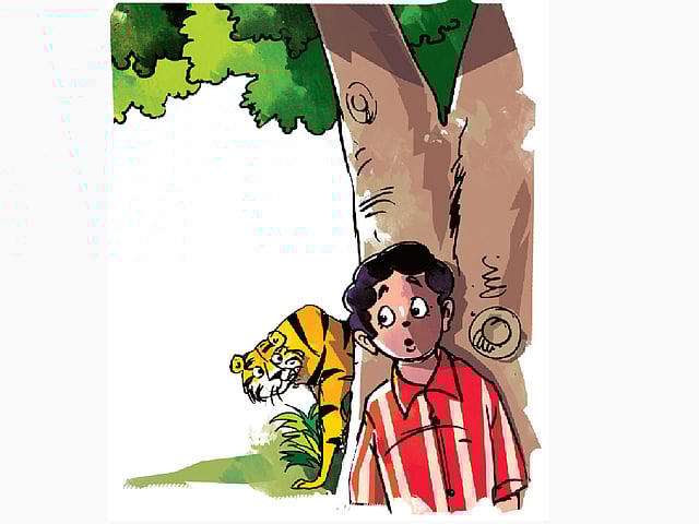 অলংকরণ: তুলি