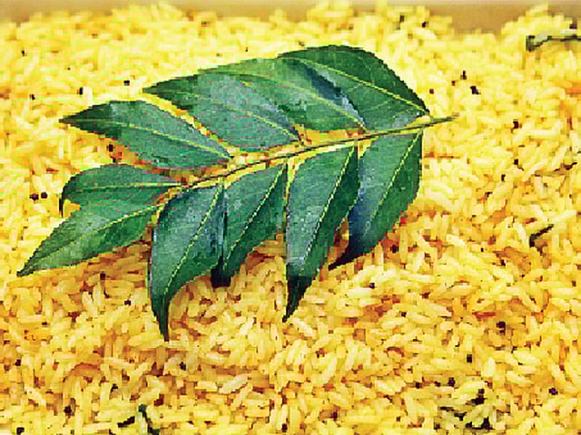 ছবি: খালেদ সরকার