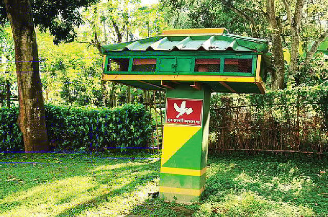 কবুতরের ঘর