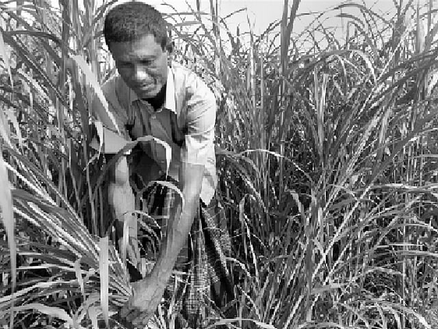 ছবি: শাহাবুল শাহীন