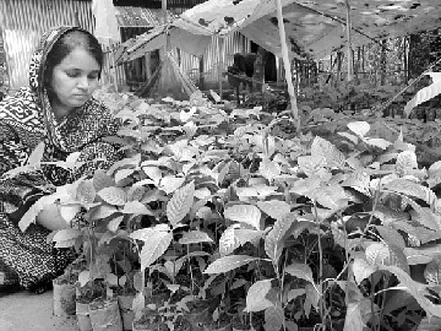 ছবি: খলিল রহমান