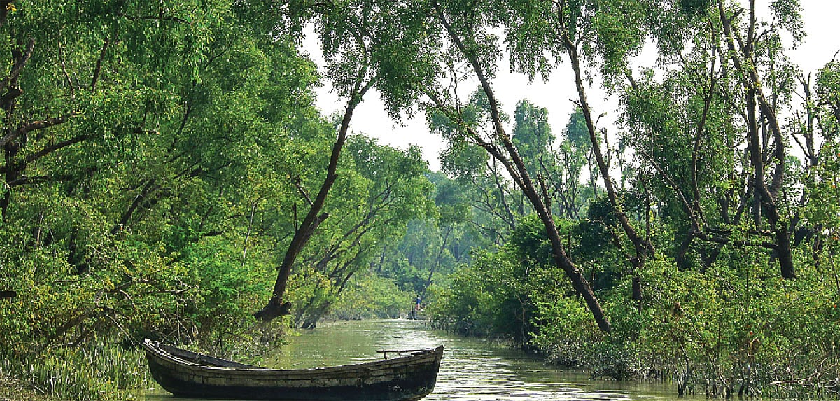 কমলার চর যাওয়ার পথে, ছবি: লেখক