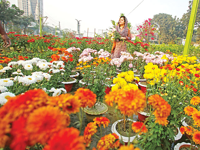 ঘরের শোভা বাড়াতে রাজধানীর এসব নার্সারিতে মধ্যবিত্ত ও শৌখিন মানুষ আসেন ফুল কিনতে l ছবি: প্রথম আলো