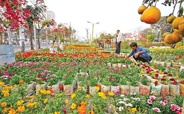 শীত মৌসুুমে ফুলের হরেক রং৷ ফুলের পরিচর্যায় ব্যস্ত নার্সারির বিক্রেতারা৷ ছবিটি গতকাল রাজধানীর আগারগাঁও ​এলাকা থেকে তোলা l প্রথম আলো