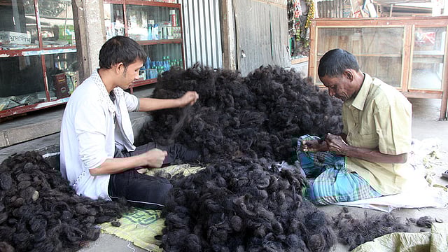 সেলুন, বিউটি পারলার বা বাসাবাড়িতে ঘুরে ঘুরে মাথার চুল কেনেন কসমেটিক ব্যবসায়ী মাহবুব হোসেন। কেজি প্রতি চুলের জন্য দাম দেন ৩০০০ টাকা। ঢাকায় গিয়ে বিক্রি করেন কেজি প্রতি ৫০০০ থেকে ৭০০০ টাকায়। পরচুলা তৈরিতে উন্নত দেশগুলোতে এর চাহিদা বেশি। চুল বাছাইয়ের কাজে ব্যস্ত তাঁরা। ছবিটি আজ সোমবার বিকেলে রংপুরে কাউনিয়া উপজেলার দালালহাট এলাকা থেকে তোলা। ছবি: মঈনুল ইসলাম