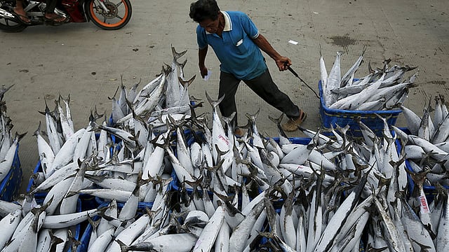 জাকার্তায় মুয়ারা আংকা বাজারে নিলামে তুলতে নিয়ে যাওয়া হচ্ছে হিমায়িত টুনা মাছ। গত ছয় বছরের মধ্যে ইন্দোনেশিয়ায় সর্বনিম্ন মূল্যস্ফীতি ছিল গত ডিসেম্বরে। ছবি: রয়টার্স