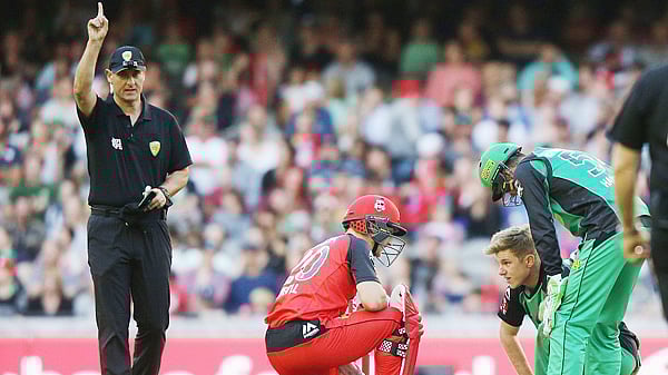 নিজের নাক ফাটিয়ে নেভিলকে আউট করলেন জাম্পা। ছবি: ক্রিকইনফো