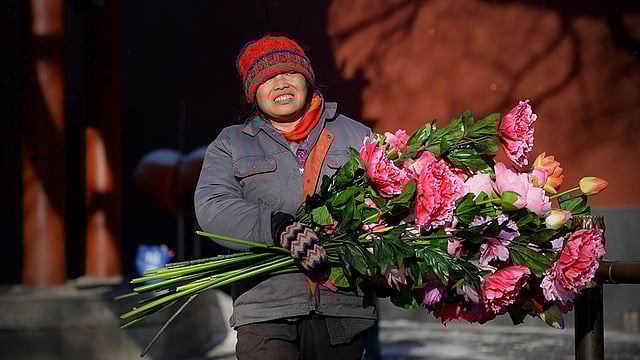 চীনের ঐতিহ্যবাহী লাবা উৎ​সব উদযাপনের অংশ হিসেবে লামা মন্দিরে ফুল নিয়ে যাচ্ছেন এক নারী। এই উৎ​সব উপলক্ষে দেশটিতে ছুটি থাকে। ফসলের ভালো উৎ​পাদন, সুখ ও শান্তি কামনায় মানুষ প্রার্থনা করে এবং বিশেষ খাওয়া-দাওয়ার আয়োজন করেন। ছবিটি বেইজিং থেকে আজ রোববার তোলা। ছবি: এএফপি