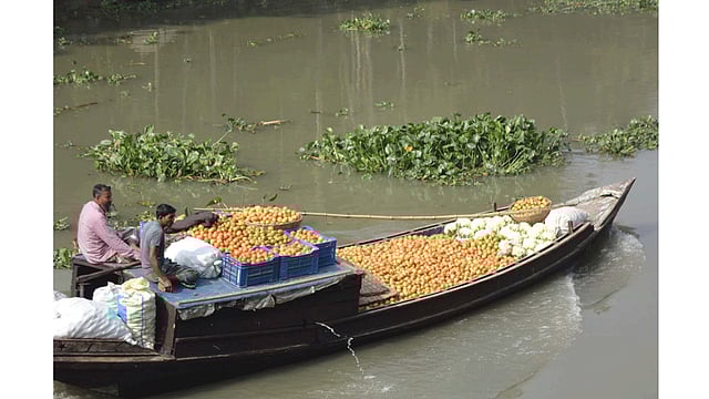 খেতের টমেটো ও ফুলকপি ট্রলারে করে হাটে নিয়ে যাচ্ছেন এক কৃষক। ছবিটি পিরোজপুরের নাজিরপুর উপজেলার নাওটানা গ্রামের তালতলা শাখা নদী থেকে তোলা। ছবি: এ কে এম ফয়সাল