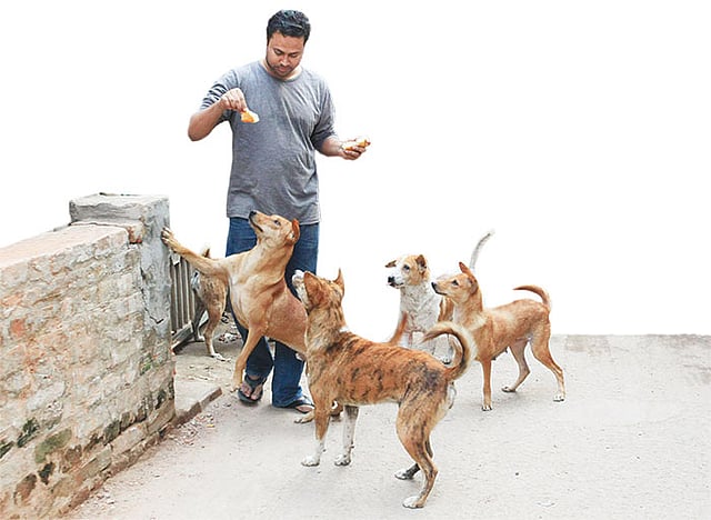 শুধু ঘরের নয়, গলির কুকুরদের জন্যও কেয়ার পর পজের সদস্যদের আছে ভালোবাসা