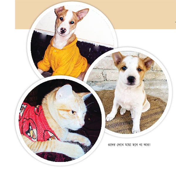 ওদের দেখে মায়া হবে না কার!