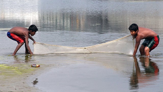 নদীতে মাছ ধরতে ব্যস্ত শিশুর​া। ছবিটি আজ মঙ্গলবার দুপুরে মানিকগঞ্জের শিবালয় উপজেলার আরিচায় যমুনা নদী থেকে তোলা। ছবি: আব্দুল মোমিন