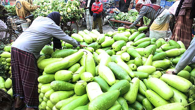 লাউয়ের ফলন ভালো। বাজারে বিক্রির জন্য আনা হয়েছে তাজা লাউ। ছবিটি আজ বৃহস্পতিবার সকালে নারায়ণগঞ্জ শহরের দিগুবাবুর বাজার থেকে তোলা। ছবি: পাপ্পু ভট্টাচার্য্য