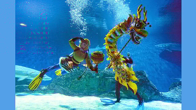 চীনে আসন্ন বসন্ত উৎসব উপলক্ষে বেইজিংয়ের একটি চিড়িয়াখানায় অ্যাকুরিয়ামের ভেতরে রঙিন পোশাক পরে কসরত দেখাচ্ছেন দুই ডুবুরি। ছবিটি আজকের তোলা। ছবি: রয়টার্স