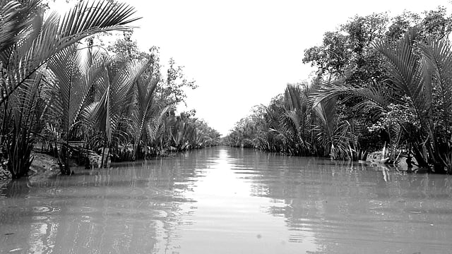 সুন্দরবন সুরক্ষার উদ্বেগ বেড়েছে