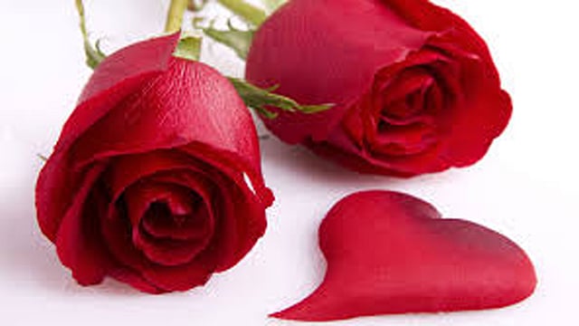 প্রতীকী ছবি। সংগৃহীত