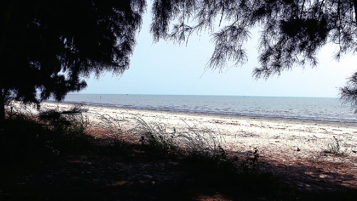 জঙ্গল পার হলেই দেখা মিলবে এমন নির্জন সৈকত। ছবি: লেখক