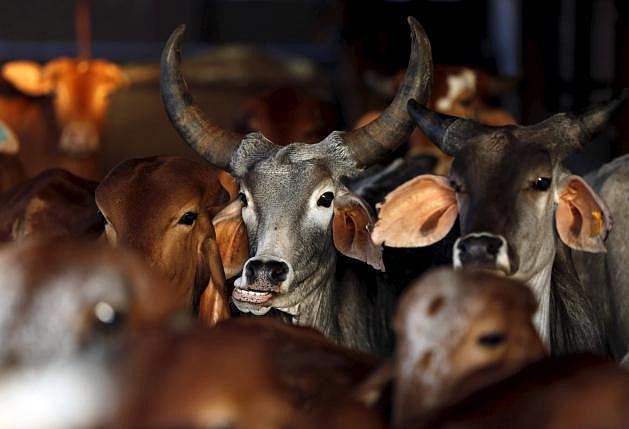 ফাইল ছবি: রয়টার্স
