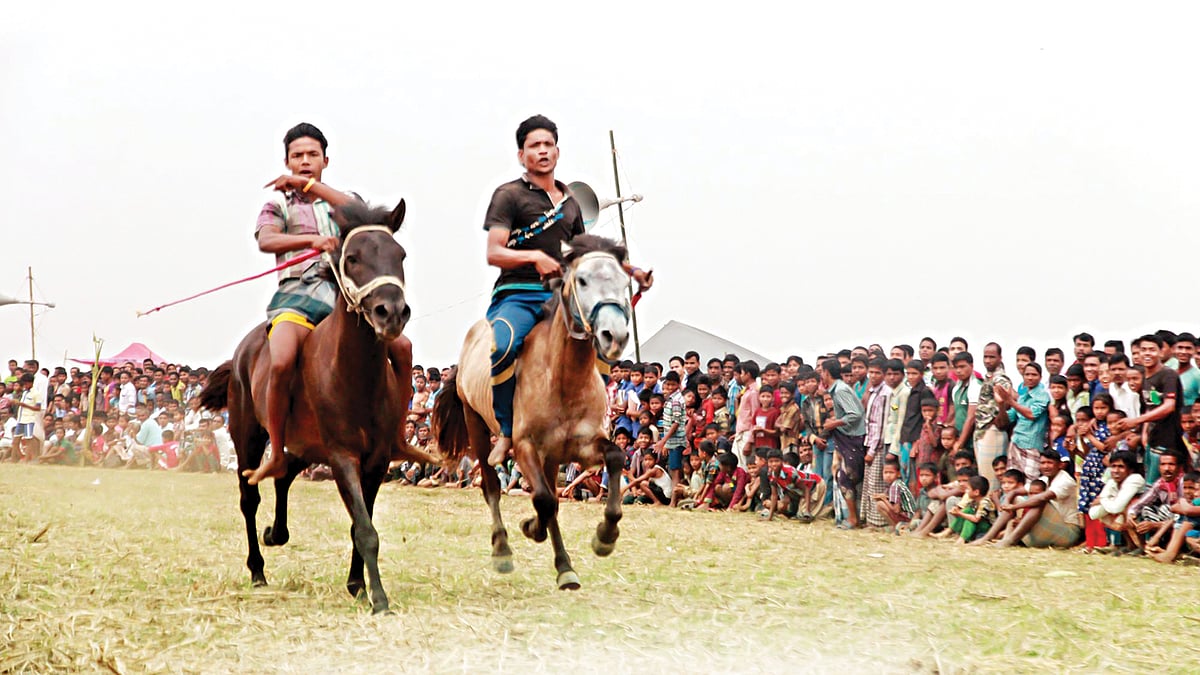 হাওরাঞ্চলে জমে উঠেছে ঐতিহ্যবাহী ঘোড়দৌড়। ছবি: আনিস মাহমুদ