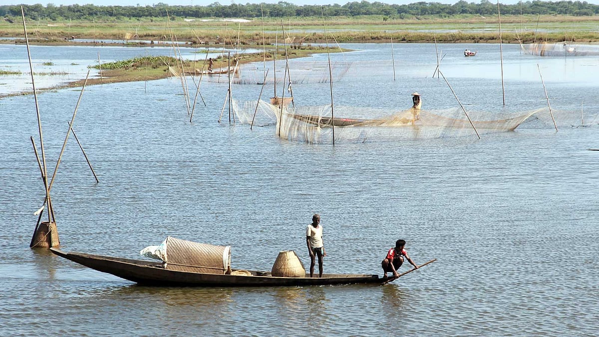 হাওরে মাছ ধরছেন জেলেরা ষ ছবি: আনিস মাহমুদ