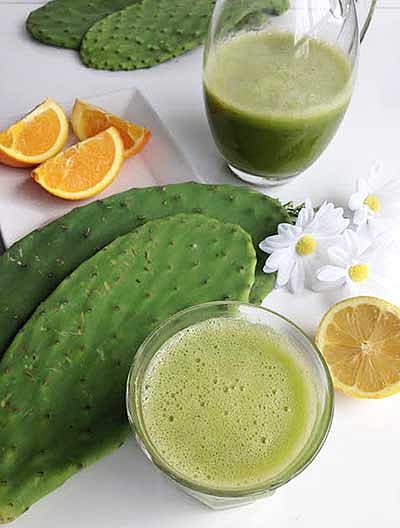 খাদ্য হিসেবেও ক্যাকটাসের আছে নানা গুণ