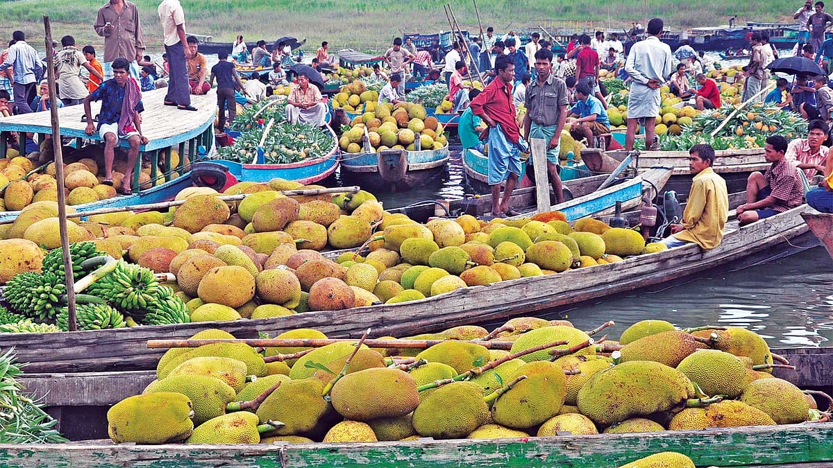 দূর–দূরান্ত থেকে কাঁঠাল ও নানা মৌসুমি ফলভর্তি নৌকা ভিড়েছে ঘাটে। রাঙামাটি শহরের বনরূপা এলাকার সমতা বাজার ঘাট থেকে ছবিটি মঙ্গলবার বিকেলে তোলা l সুপ্রিয় চাকমা