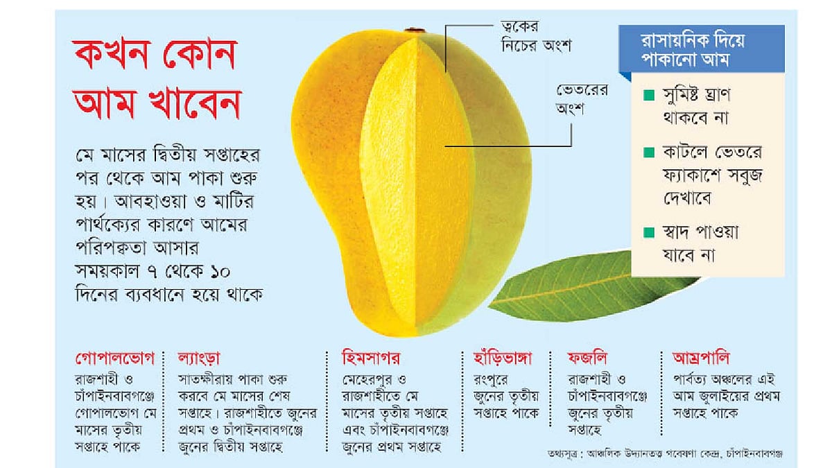 কখন কোন আম খাবেন