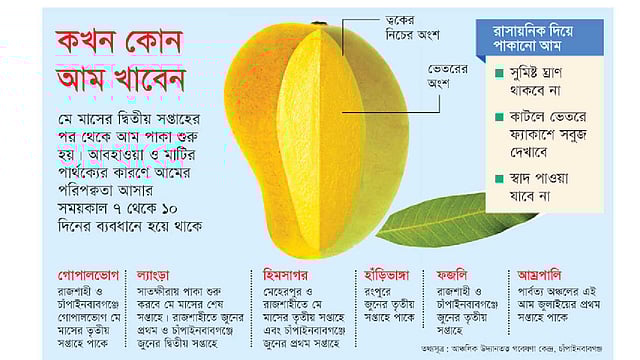কখন কোন আম খাবেন