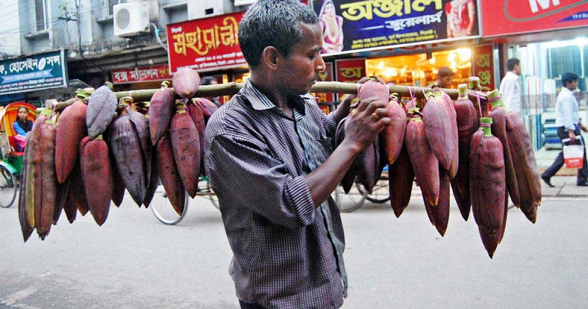 ফাইল ছবি